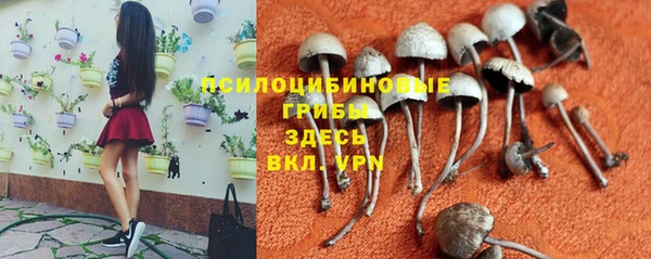 спайс Балахна