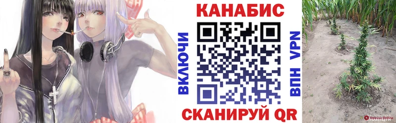 Каннабис SATIVA & INDICA  Петровск 